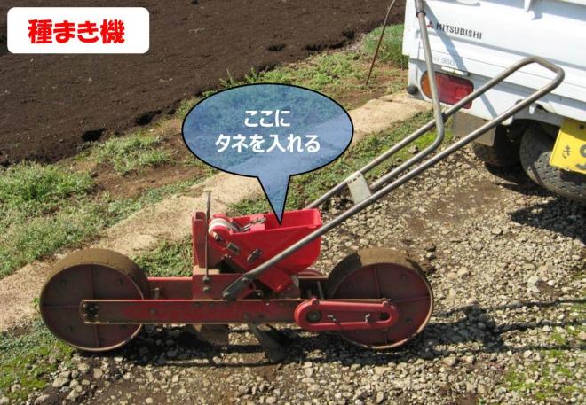 タネまき