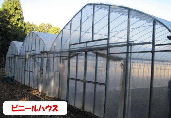 ビニールハウス