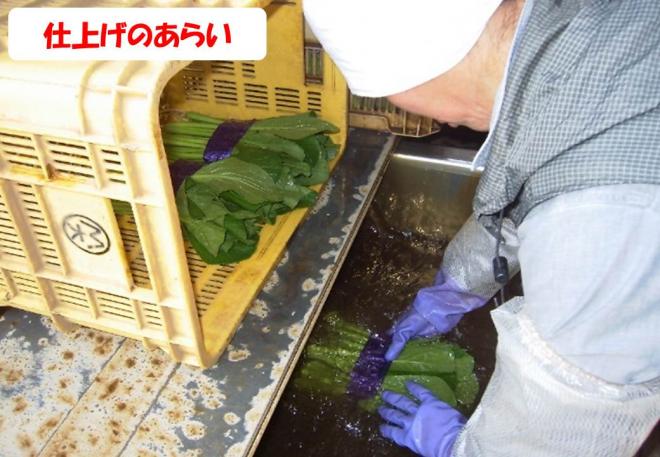 蘇生