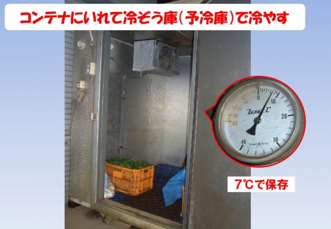 冷蔵庫