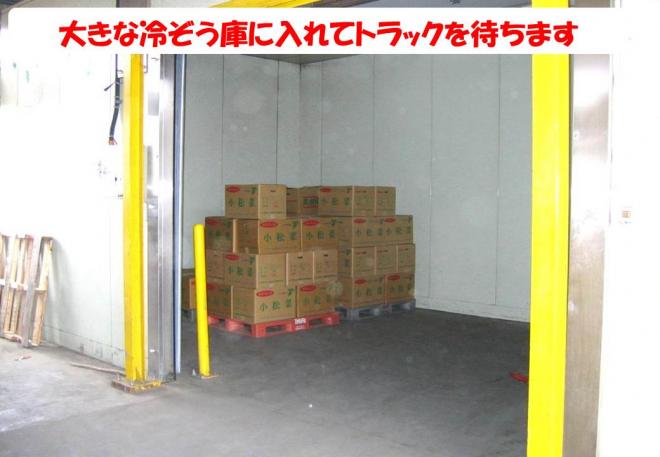 出荷場冷蔵庫