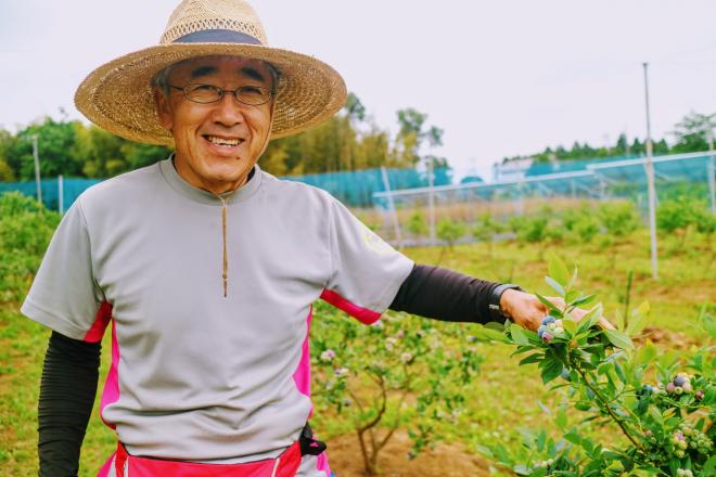 Bベリーファーム1