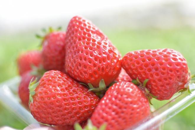 山盛りのイチゴ