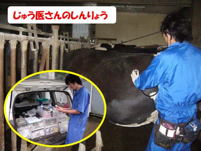 獣医の診療