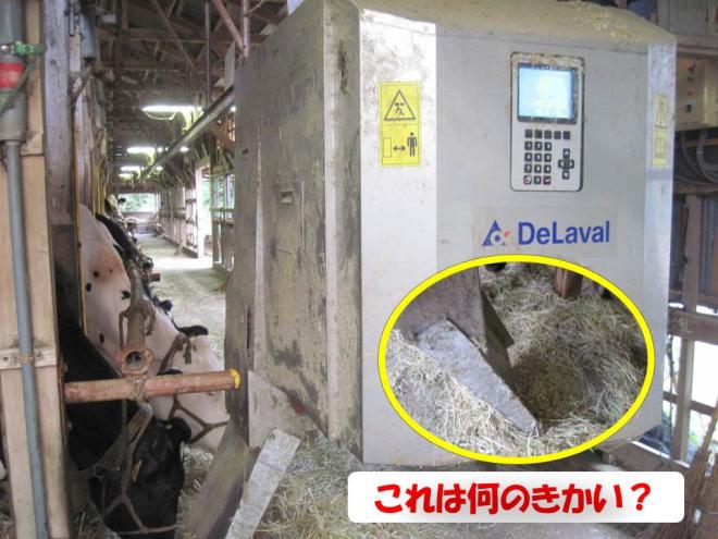 エサやり機