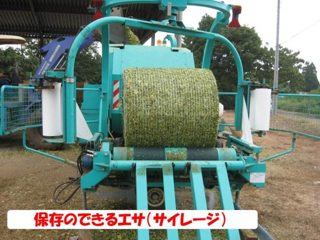 サイレージ