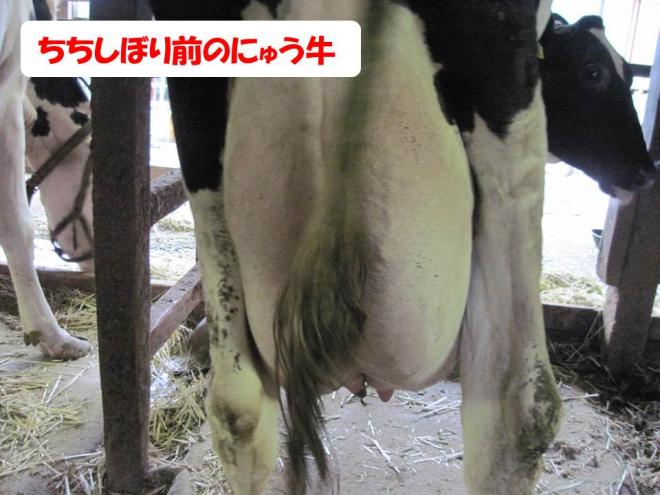搾る前