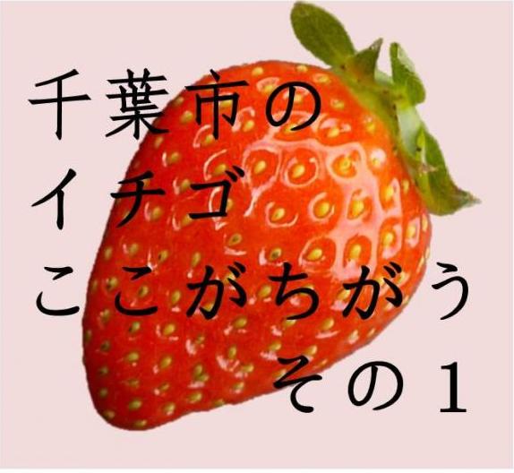 千葉市のイチゴはここがちがう、そのいち