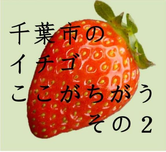 千葉市のイチゴはここがちがう、そのに