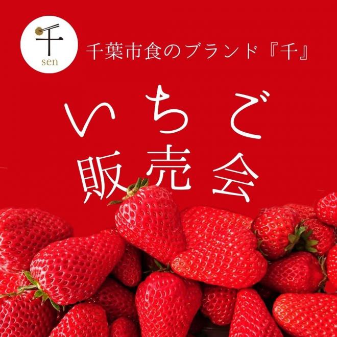 ichigo-top