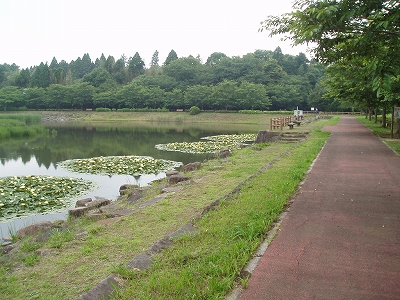 大池地区水環境施設