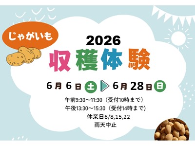 nakata_potato