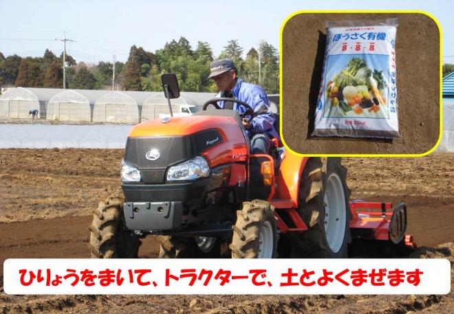 スイカ肥料まき