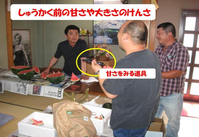 スイカ出荷会議