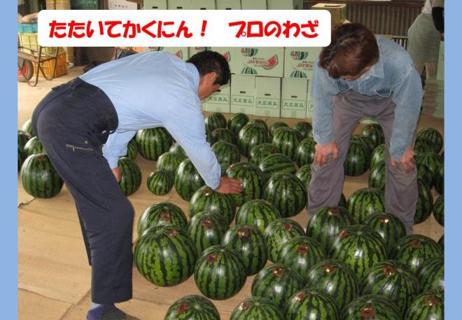 スイカたたいて確認