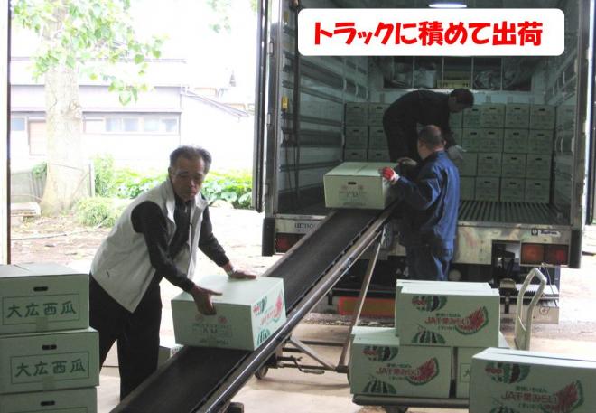 スイカ出荷