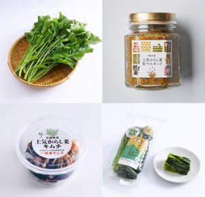 土気からし菜４種