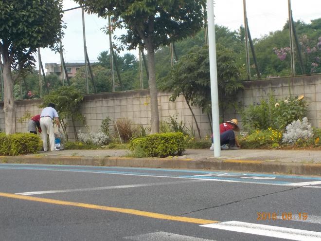 朝日ケ丘自治会ひまわりの会02