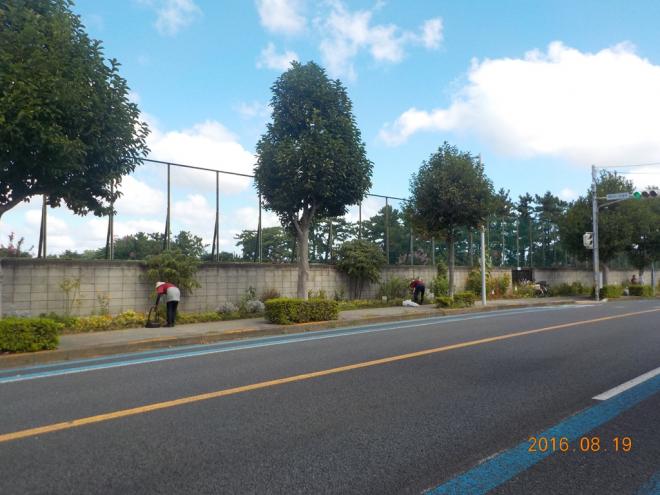 朝日ケ丘自治会ひまわりの会03