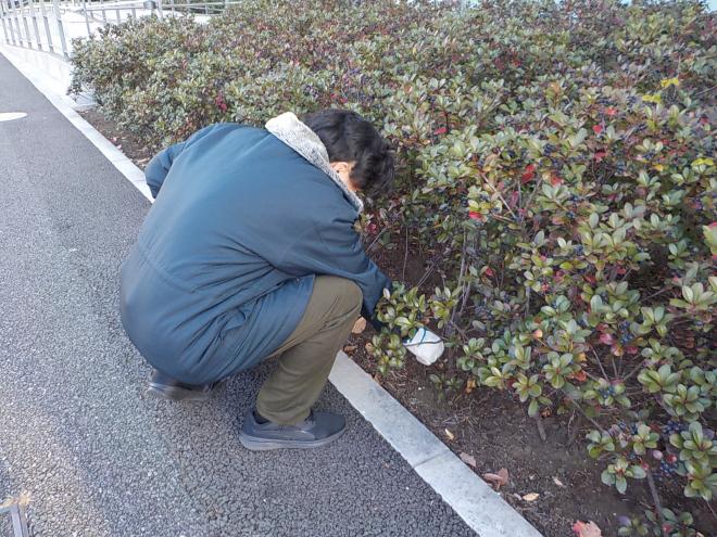 osouzir6年12月1日