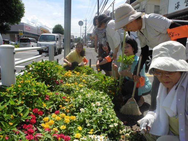 グリーンベルト花づくりの会02