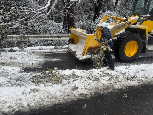 生実本納3：除雪作業