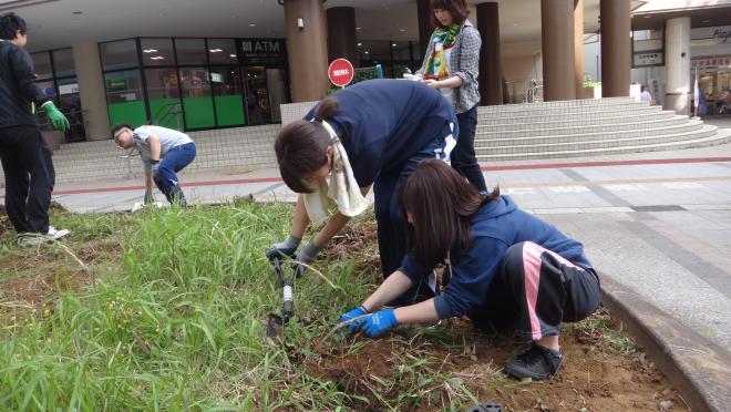 鎌取駅前花壇クラブ03