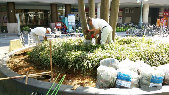 鎌取駅前花壇クラブ04