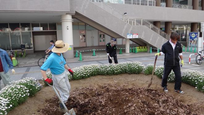 鎌取駅前花壇クラブ06