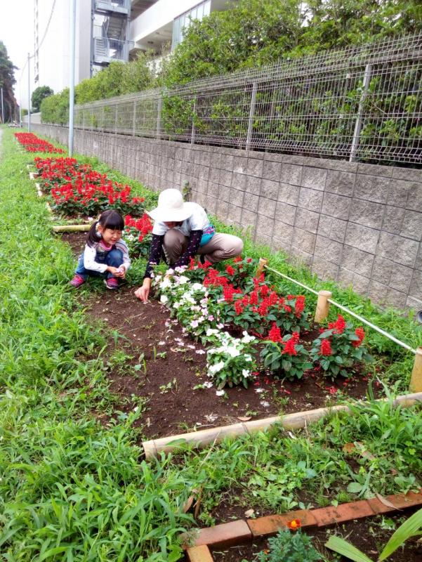 プラウドシティ稲毛海岸自治防災会02