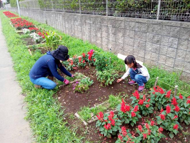 プラウドシティ稲毛海岸自治防災会03