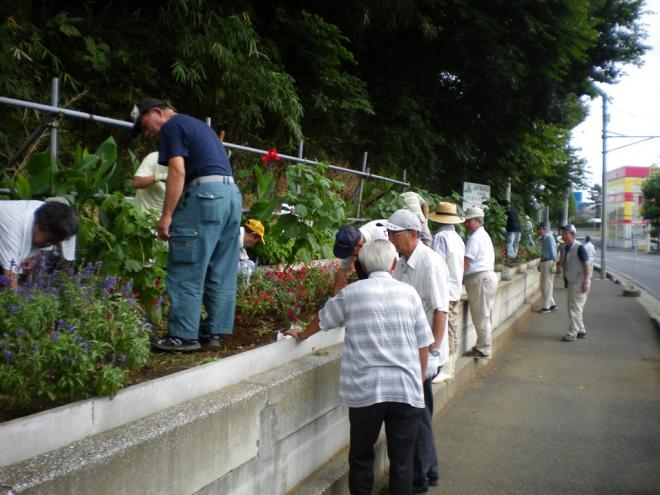 高品町自治会花壇部会02
