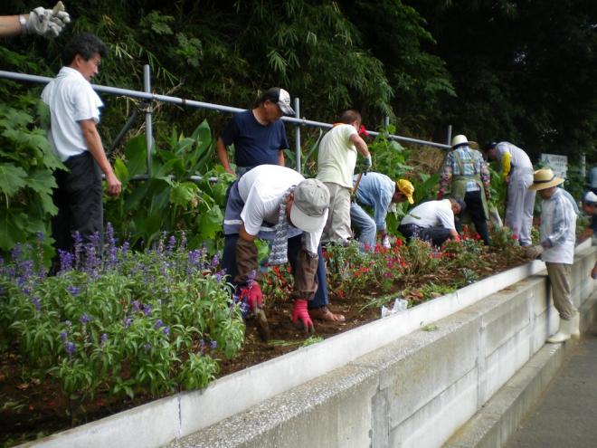 高品町自治会花壇部会03
