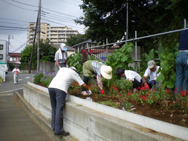 高品町自治会花壇部会04