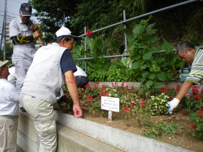 高品町自治会花壇部会05