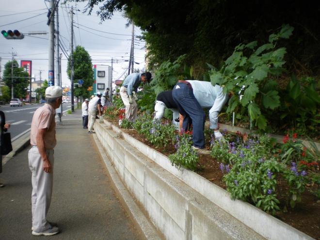 高品町自治会花壇部会06