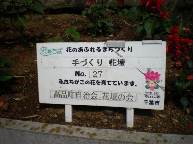 高品町自治会花壇部会07