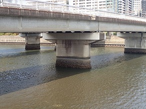 wakaba1goukyousekoumae1