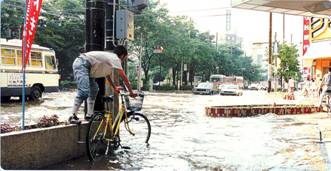 葭川公園付近の浸水状況昭和61年8月台風10号