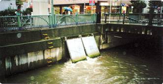 葭川富栄橋付近での雨天時における雨水吐からの流出状況