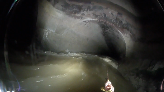 浮流式調査の映像