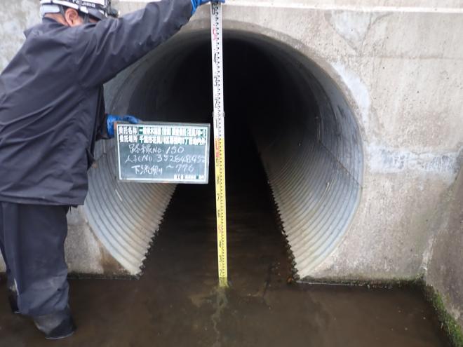 目視による調査