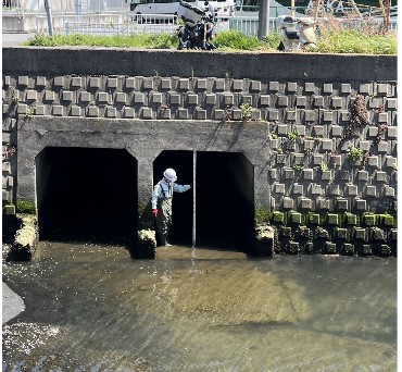 目視による調査