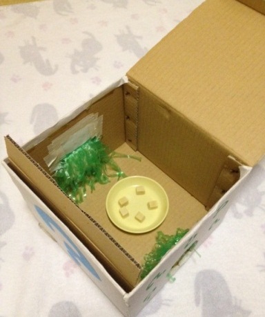 はてなボックスの写真