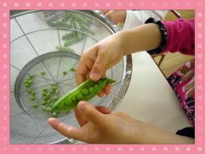 グリンピースの中身を見せている写真