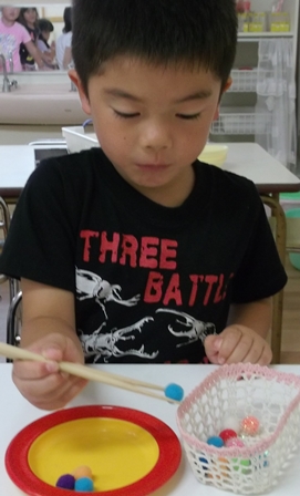 箸でスポンジつまんでを運ぶ写真