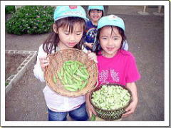 収穫野菜を持っている写真