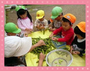 そら豆の皮むきの写真