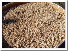 切り干し大根の写真