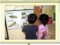 トウモロコシの説明を見ている子どもの写真